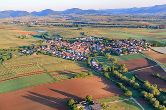 Luftbild von Dorfansicht am Morgen aus Osten in Impflingen im Bundesland Rheinland-Pfalz, Deutschland