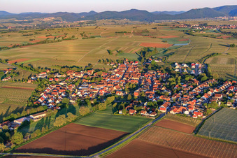 Dorfansicht am Morgen aus Nordosten in Impflingen im Bundesland Rheinland-Pfalz, Deutschland