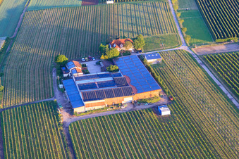 Gertrudenhof in Impflingen im Bundesland Rheinland-Pfalz, Deutschland