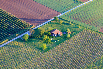 Grillhütte Impflingen an der B38 im Bundesland Rheinland-Pfalz, Deutschland