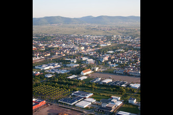 Ortsteil Queichheim in Landau in der Pfalz im Bundesland Rheinland-Pfalz, Deutschland aus der Luft betrachtet