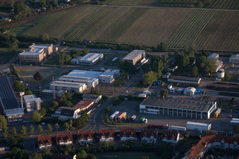 MAN Trucl&Bus Service in Landau in der Pfalz im Bundesland Rheinland-Pfalz, Deutschland