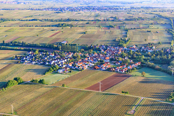 Dorfansicht am Morgen aus Süden in Knöringen im Bundesland Rheinland-Pfalz, Deutschland