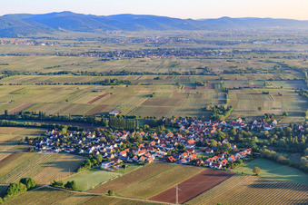 Luftbild von Dorfansicht am Morgen aus Süden in Knöringen im Bundesland Rheinland-Pfalz, Deutschland