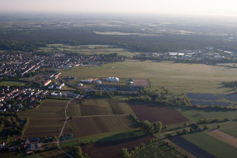 Luftbild von Flugplatz im Ortsteil Speyerdorf in Neustadt an der Weinstraße im Bundesland Rheinland-Pfalz, Deutschland