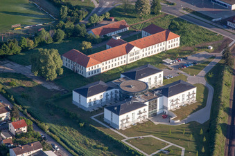 Panelreihen der Photovoltaikanlage und Solarpark bzw. Solarkraftwerk des Solar-Info-Zentrum SIZ GmbH im Ortsteil Lachen-Speyerdorf in Neustadt an der Weinstraße im Bundesland Rheinland-Pfalz, Deutschland