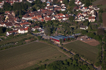 Blumen Schupp im Ortsteil Gimmeldingen in Neustadt an der Weinstraße im Bundesland Rheinland-Pfalz, Deutschland