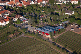 Schrägluftbild von Blumen Schupp im Ortsteil Gimmeldingen in Neustadt an der Weinstraße im Bundesland Rheinland-Pfalz, Deutschland
