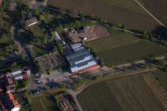 Blumen Schupp im Ortsteil Gimmeldingen in Neustadt an der Weinstraße im Bundesland Rheinland-Pfalz, Deutschland von oben