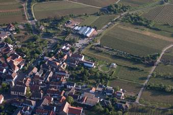 Blumen Schupp im Ortsteil Gimmeldingen in Neustadt an der Weinstraße im Bundesland Rheinland-Pfalz, Deutschland aus der Luft