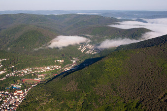 Morgennebel über dem Tal des Speyerbach bei Neustadt an der Weinstraße im Bundesland Rheinland-Pfalz, Deutschland