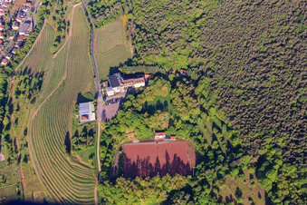 Sportplatz Sankt Martin am Arens Hotel 327m NN im Ortsteil SaintMartin im Bundesland Rheinland-Pfalz, Deutschland