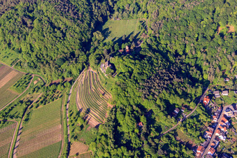 Weinberg Steillage unter Schloss Kropsburg im Ortsteil SaintMartin in Sankt Martin im Bundesland Rheinland-Pfalz, Deutschland