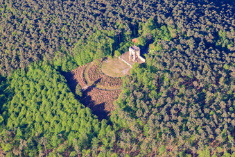 Drohnenbild von Sieges- und Friedensdenkmal in Edenkoben im Bundesland Rheinland-Pfalz, Deutschland