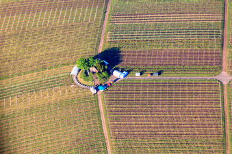 Osterandacht in den Weinbergen an der Michaelskapelle in Weyher in der Pfalz im Bundesland Rheinland-Pfalz, Deutschland
