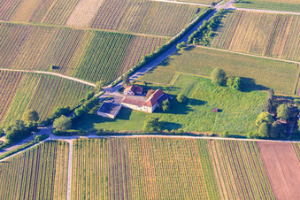 Oliver Stiess Weinkommission -Weinkellerei GmbH in Frankweiler im Bundesland Rheinland-Pfalz, Deutschland