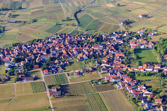 Winzerdorf am Morgen von Norden in Frankweiler im Bundesland Rheinland-Pfalz, Deutschland