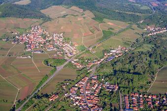Winzerdorf am Morgen von Norden in Birkweiler im Bundesland Rheinland-Pfalz, Deutschland