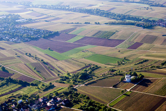 Schrägluftbild von Wassertürme/-Tanks im Ortsteil Arzheim in Landau in der Pfalz im Bundesland Rheinland-Pfalz, Deutschland