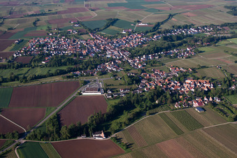 Ortsteil Ingenheim in Billigheim-Ingenheim im Bundesland Rheinland-Pfalz, Deutschland vom Flugzeug aus