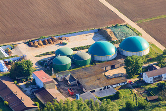 Luftaufnahme von Biogasanlagen der Wagner GmbH in Steinweiler im Bundesland Rheinland-Pfalz, Deutschland