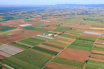Bauers Garten von Norden am Morgen in Winden im Bundesland Rheinland-Pfalz, Deutschland