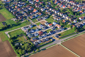 Neubaugebiet im Holderbusch aus Norden in Minfeld im Bundesland Rheinland-Pfalz, Deutschland aus der Luft betrachtet