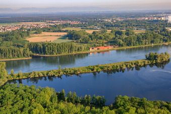 Blick vom Saalbachaltrhein zum Ziegeleimuseum am Rheindamm von Osten in Germersheim im Bundesland Rheinland-Pfalz, Deutschland von oben gesehen