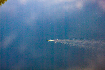 Luftaufnahme von Paddler auf dem Saalbachkanal im Ortsteil Rheinsheim in Philippsburg im Bundesland Baden-Württemberg, Deutschland