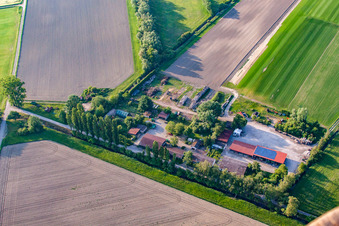 Semler Rollrasen in Elisabethenwörth im Ortsteil Rheinsheim in Philippsburg im Bundesland Baden-Württemberg, Deutschland von oben