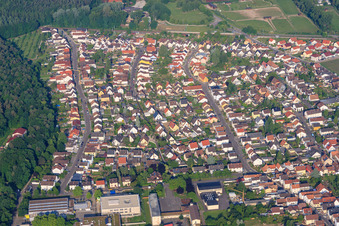 Helle Eichen in Rülzheim im Bundesland Rheinland-Pfalz, Deutschland