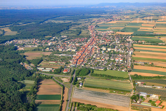 Stadtübersicht aus Nordosten in Kandel im Bundesland Rheinland-Pfalz, Deutschland aus der Luft