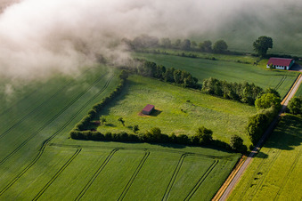 Pferdekoppel im Ortsteil Bredenborn in Marienmünster im Bundesland Nordrhein-Westfalen, Deutschland