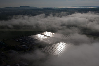 Luftbild von Wetterbedingt in eine Nebel- Schicht eingebettete Panelreihen der Photovoltaikanlage des Solarpark bzw. Solarkraftwerk im Ortsteil Bredenborn in Marienmünster im Bundesland Nordrhein-Westfalen, Deutschland