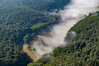 Waldlichtung im Nebel im Ortsteil Ovenhausen in Höxter im Bundesland Nordrhein-Westfalen, Deutschland