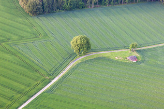 Luftbild von Ortsteil Tietelsen in Beverungen im Bundesland Nordrhein-Westfalen, Deutschland