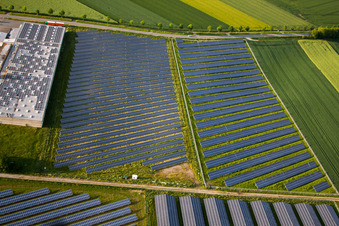 Panelreihen der Photovoltaikanlage und Solarpark bzw. Solarkraftwerk im Ortsteil Bredenborn in Marienmünster im Bundesland Nordrhein-Westfalen, Deutschland von oben