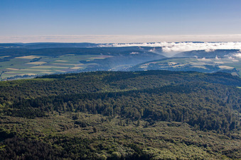 Ortsteil Langenthal in Trendelburg im Bundesland Hessen, Deutschland von oben gesehen