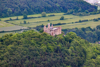 Trimburg im Ortsteil Trimberg in Elfershausen im Bundesland Bayern, Deutschland