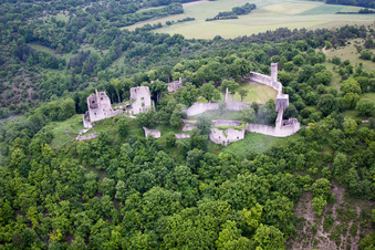 Die von Wald umgebene Burgruine Homburg bei Gössenheim in Bayern, Deutschland