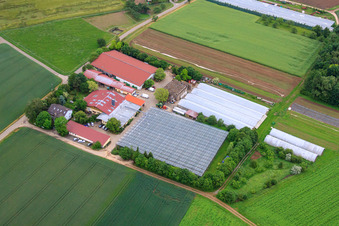 Hof Gut Rupperzaint naturgemäße Landwirtschaft GmbH & Co. KG im Ortsteil Gänheim in Arnstein im Bundesland Bayern, Deutschland