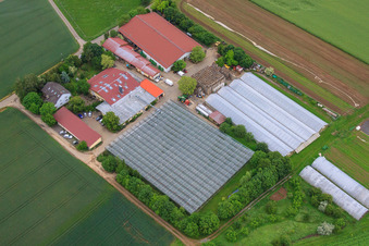 Schrägluftbild von Hof Gut Rupperzaint naturgemäße Landwirtschaft GmbH & Co. KG im Ortsteil Gänheim in Arnstein im Bundesland Bayern, Deutschland
