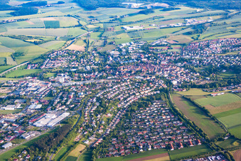 Buchen im Bundesland Baden-Württemberg, Deutschland