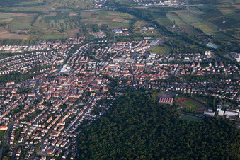 Am Dämmelwald in Wiesloch im Bundesland Baden-Württemberg, Deutschland