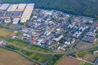 Industriegebiet von der Albert-Einstein-Straße bis zur Dietmar-Hopp-Allee mit Heidelberger Druckmaschinen AG, SAP SE und Evora IT Solutions GmbH in Walldorf im Bundesland Baden-Württemberg, Deutschland