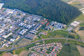 Schrägluftbild von Industriegebiet an der Dietmar-Hopp-Allee mit SAP SE in Walldorf im Bundesland Baden-Württemberg, Deutschland