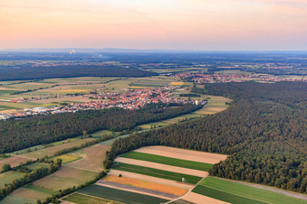Erlenbachniederung am Bienwald in Kandel im Bundesland Rheinland-Pfalz, Deutschland