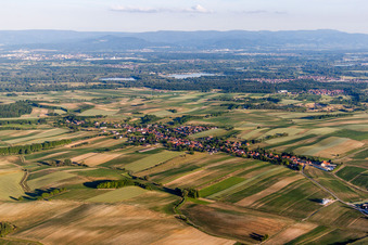 Luftbild von Dorf - Ansicht am Rande von landwirtschaftlichen Feldern und Nutzflächen in Wintzenbach in Grand Est im Bundesland Bas-Rhin, Frankreich
