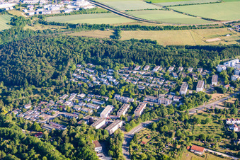 Eichenhang im Ortsteil Böfingen in Ulm im Bundesland Baden-Württemberg, Deutschland