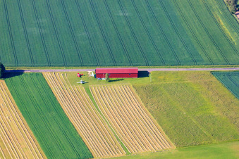 Münsingen/Magolsheim